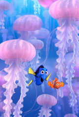 international outdoor