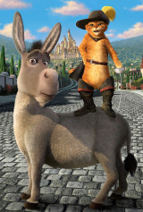 international banner