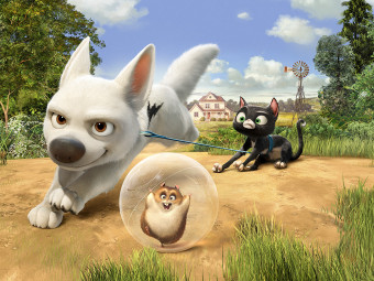 international outdoor