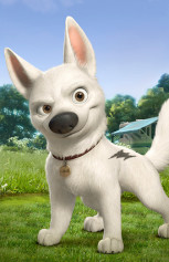 international outdoor