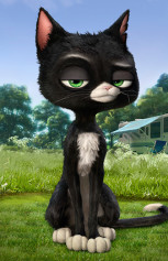 international outdoor