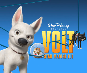 international outdoor