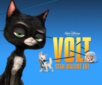 international outdoor