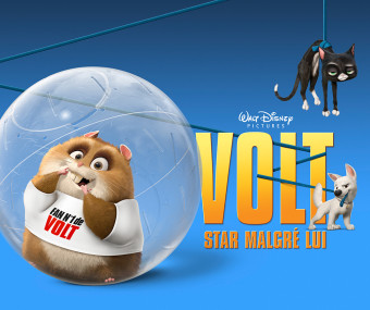 international outdoor