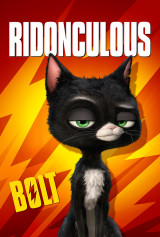 INTERNATIONAL OUTDOOR