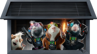 international outdoor