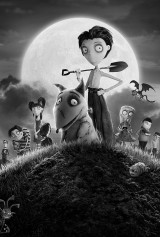 INTERNATIONAL 1-SHEET