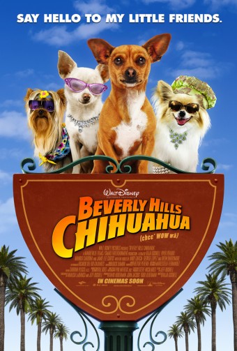 INTERNATIONAL 1-SHEET