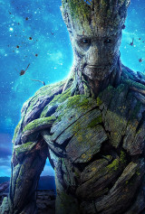 INTERNATIONAL BANNER