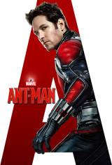 International 1-Sheet