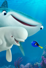 International 1-Sheet