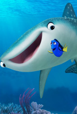 International 1-Sheet