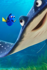 International 1-Sheet