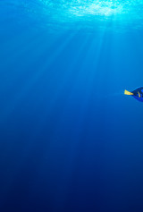 View Living One Sheet