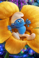 International Banner